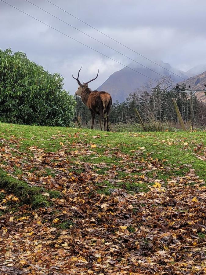 Ormasaig, Self Catering, One Mile To Town & Close To Ben Nevis Villa Fort William Exterior photo